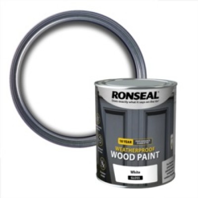 R/SEAL 10Y PAINT GLOSS WHITE