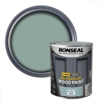 R/SEAL 10Y PAINT SATIN D/EGG